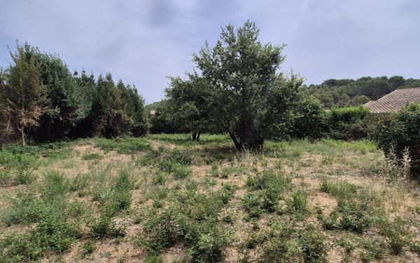 Terrain à vendre