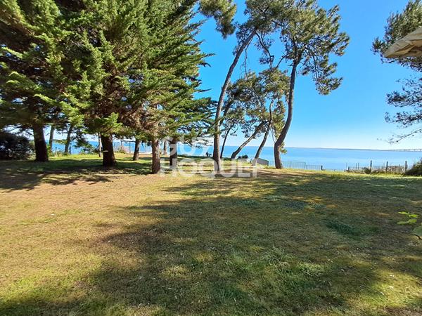 EXCEPTIONNELLE VUE OCEAN