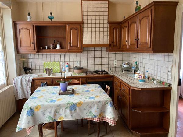 Maison à vendre à Châtillon-sur-Indre dans l'Indre (36700), ref : 1050484