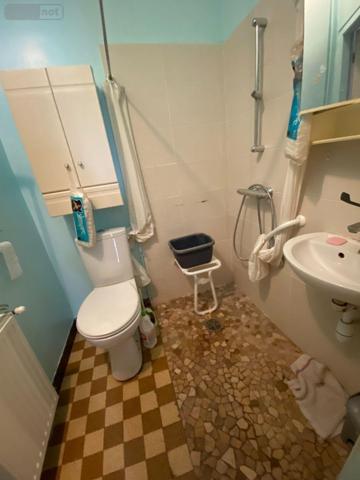 Maison à vendre à Châtillon-sur-Indre dans l'Indre (36700), ref : 1050484