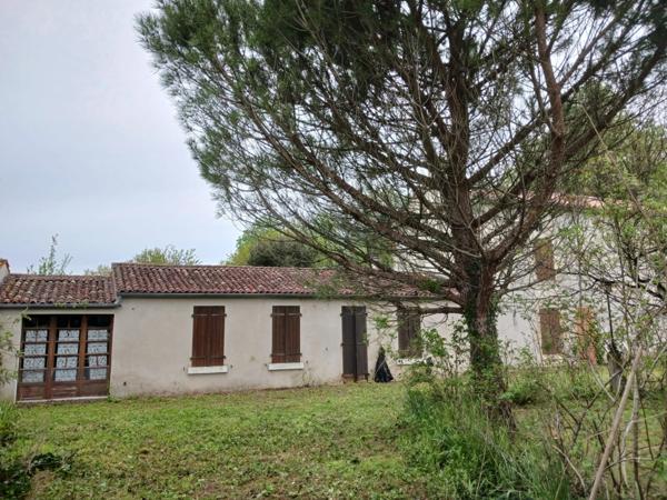 SERIGNE (85) EN CAMPAGNE SPACIEUSE MAISON EN PIERRES A RENOVER AVEC DEPENDANCES SUR 6700M² A PRIX FOU