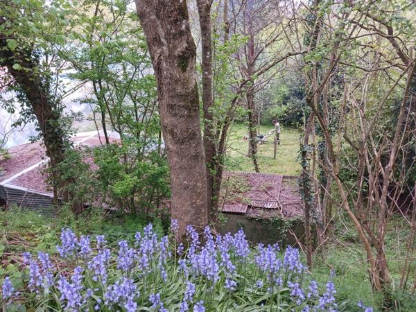 SERIGNE (85) EN CAMPAGNE SPACIEUSE MAISON EN PIERRES A RENOVER AVEC DEPENDANCES SUR 6700M² A PRIX FOU