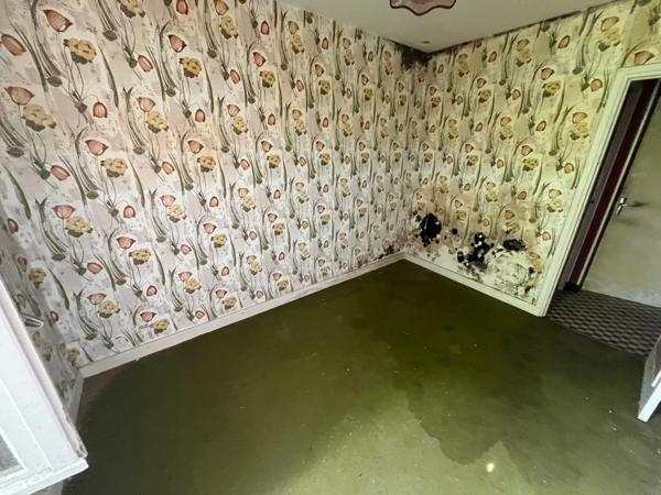 SERIGNE (85) EN CAMPAGNE SPACIEUSE MAISON EN PIERRES A RENOVER AVEC DEPENDANCES SUR 6700M² A PRIX FOU