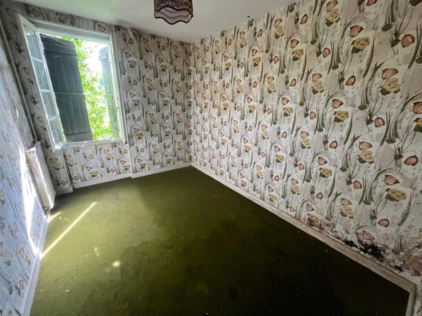 SERIGNE (85) EN CAMPAGNE SPACIEUSE MAISON EN PIERRES A RENOVER AVEC DEPENDANCES SUR 6700M² A PRIX FOU