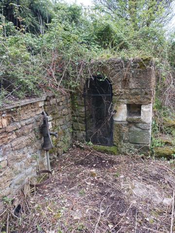 SERIGNE (85) EN CAMPAGNE SPACIEUSE MAISON EN PIERRES A RENOVER AVEC DEPENDANCES SUR 6700M² A PRIX FOU