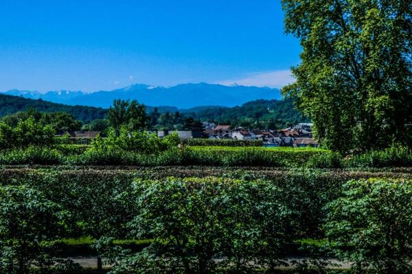 Location / Appartement T3