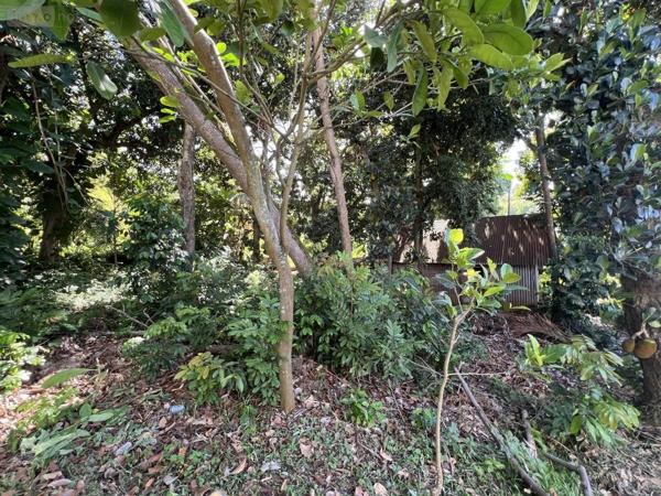 Terrain à Batir à vendre à Saint-Louis à la Réunion (97421), ref : 97411-343