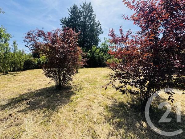 Terrain à vendre  1115 m 2   GRAULHET  - 81