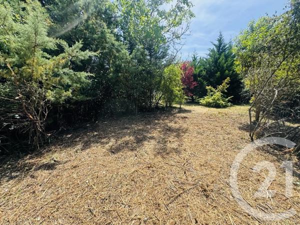 Terrain à vendre  1115 m 2   GRAULHET  - 81