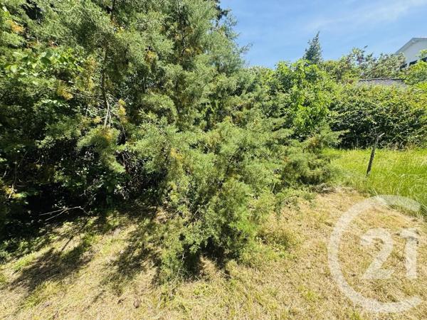 Terrain à vendre  1115 m 2   GRAULHET  - 81