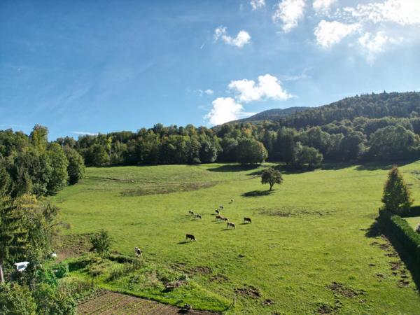 Maison individuelle, rare sur le secteur « Sur les Bois » - Annecy le Vieux .