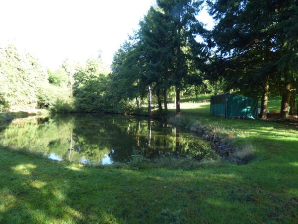 Vente / Terrain de loisirs