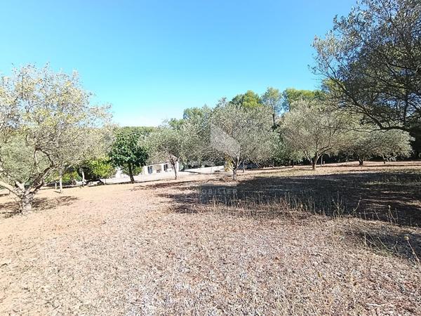 Propriété à Taradeau 181 m2 sur 5000 m² de terrain