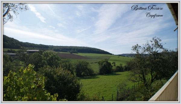 🏡 Maison en pierre rénovée avec dépendances et jardin clos