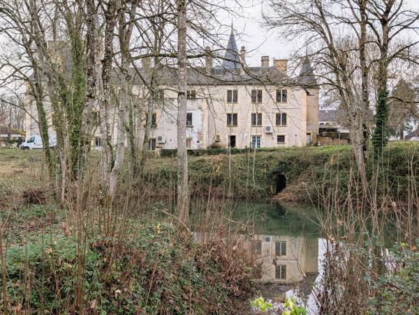 Château de Cornusse – Domaine patrimonial à fort potentiel