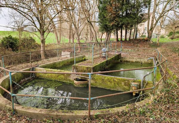 Château de Cornusse – Domaine patrimonial à fort potentiel