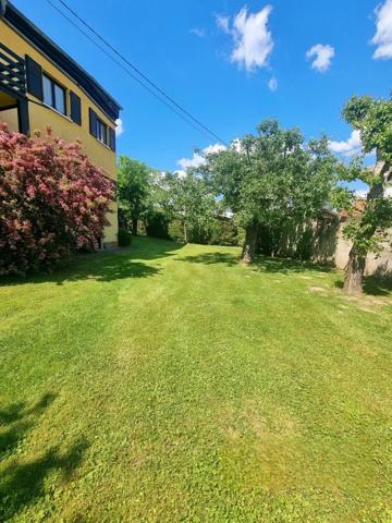 Bel appartement 4-5 pièces en RDC avec jardin, cave et terrasse