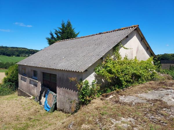 Grand volume pour cette Néo Bretonne