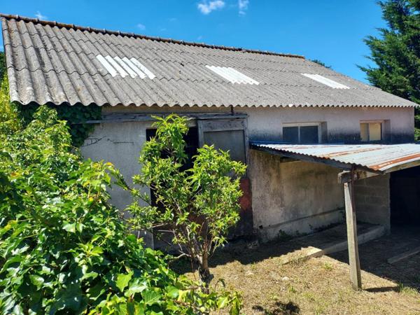 Grand volume pour cette Néo Bretonne