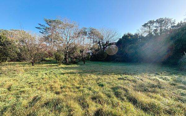 Maison à vendre    5 pièces • 125 m2 Anglet