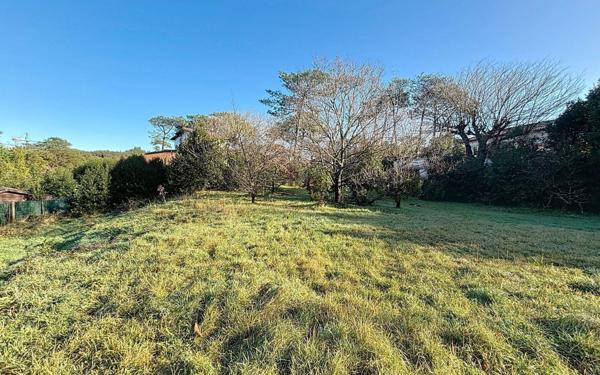 Maison à vendre    5 pièces • 125 m2 Anglet