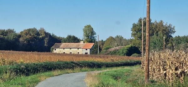 Maison à vendre |  Miramont-de-Guyenne |  3 pièces | 90 m²