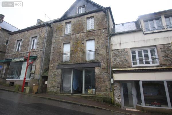 Immeuble à vendre à Rostrenen dans les Côtes-d'Armor (22110), ref : 56087-318
