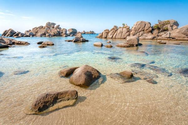 Appartement 5 pièces - 130 m² Bien prestige