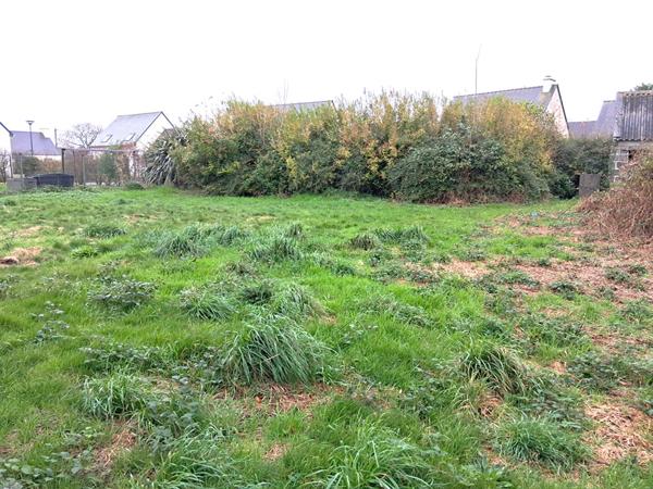 Terrain déjà viabilisé