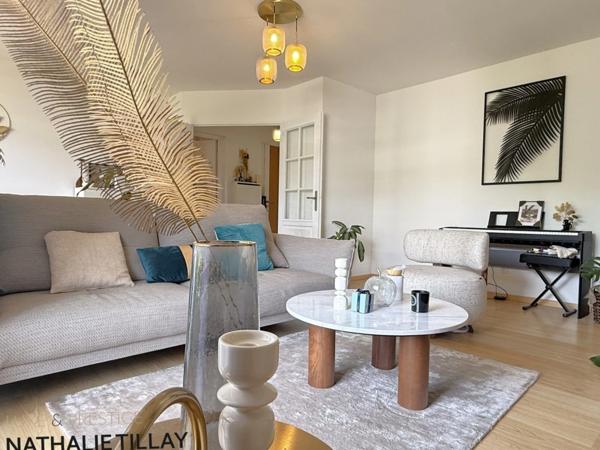 Appartement à vendre 3 pièces CHEMIN DE HALAGE ORLEANS limite SAINT JEAN DE BRAYE , bord de Loire