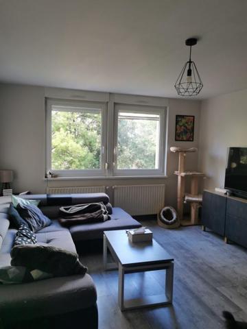Location Appartement 3 pièces 72.62 m² - Saulcy-sur-meurthe 88580