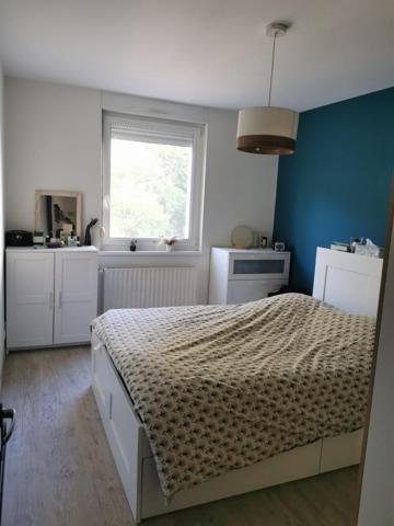 Location Appartement 3 pièces 72.62 m² - Saulcy-sur-meurthe 88580