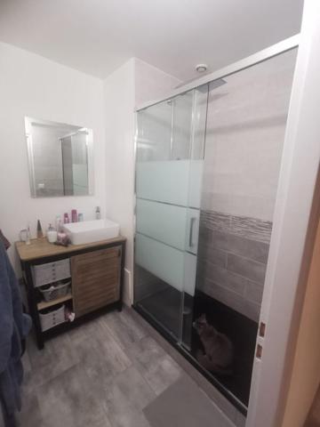 Location Appartement 3 pièces 72.62 m² - Saulcy-sur-meurthe 88580
