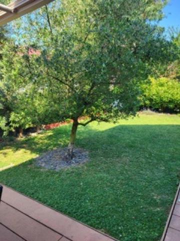 Maison individuelle 80 m² – 3 chambres – terrain de 348m² - Saint‑Pierre‑en‑Faucigny