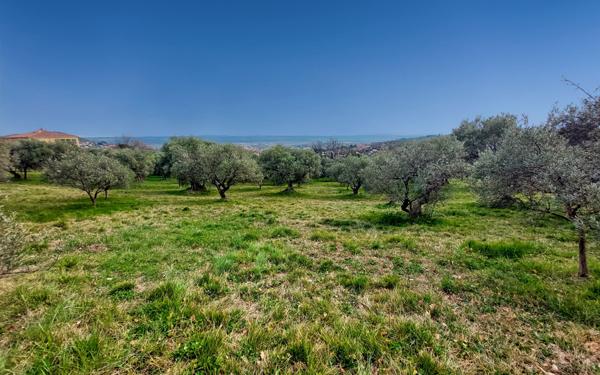 Maison à vendre    9 pièces •  Manosque