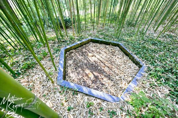 Découvrez l'élégance intemporelle de cette Maison de Maître d'exception à rénover