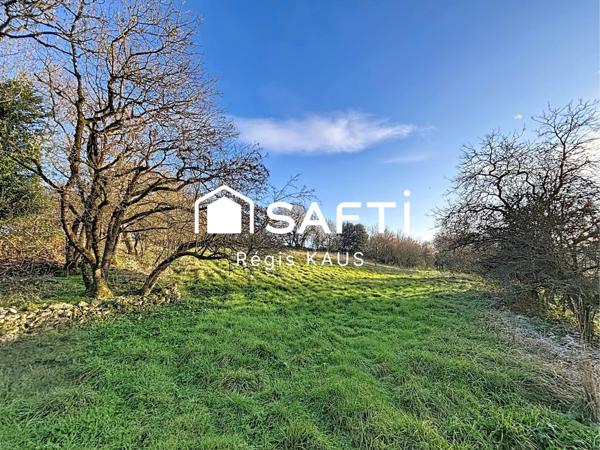 Maison 5 chambres, piscine, parc paysager à Fontenay le Comte