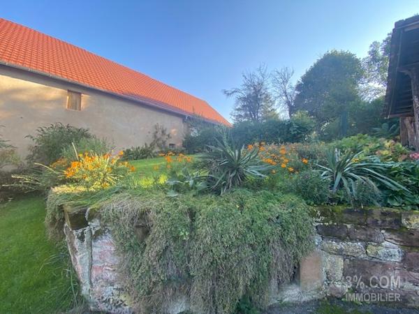 3%.COM Grande maison 181 m² sur terrain de 10.77ares Hochfelden (67270)