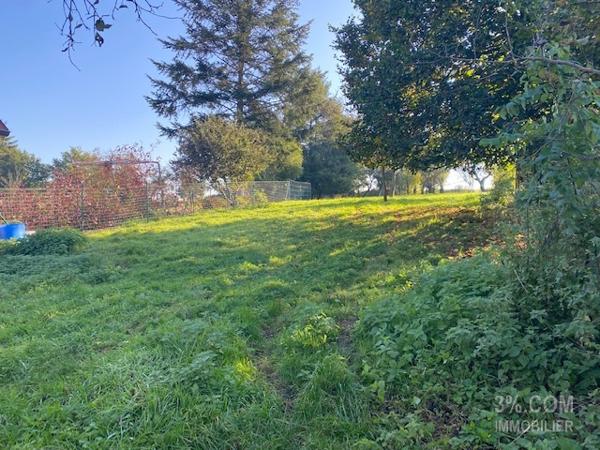 3%.COM Grande maison 181 m² sur terrain de 10.77ares Hochfelden (67270)