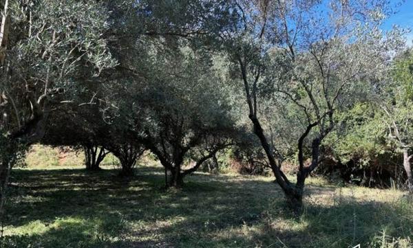 Terrain à vendre |  Castries |  401 m²