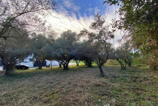 Terrain à vendre |  Castries |  401 m²