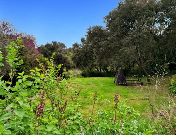 Maison T5 vue sur la garrigue de 142 m² avec Garage, Piscine et terrain.