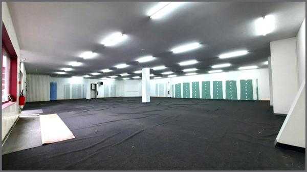 Local Commercial à BRESSUIRE, 79300 - 3 pièces 255m²