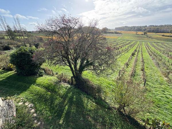 Secteur Castelviel (33) - DOMAINE AGRICOLE, CHATEAU, GITES