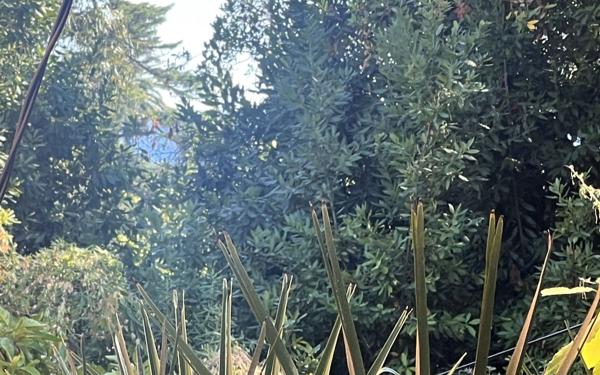 Terrain à vendre    Cannes