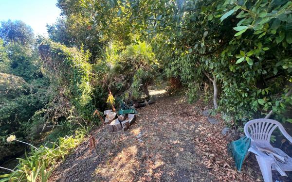 Terrain à vendre    Cannes