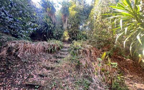 Terrain à vendre    Cannes