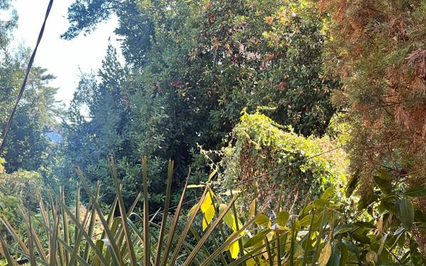 Terrain à vendre    Cannes