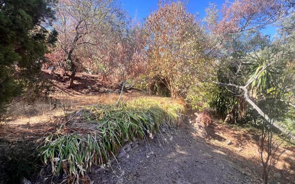 Terrain à vendre    Cannes