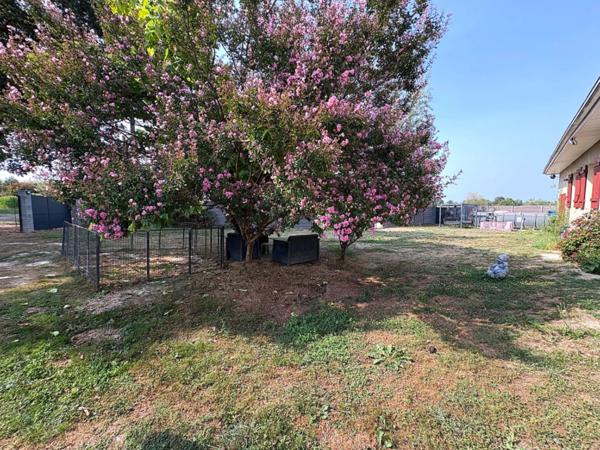 MAISON 137m2 + DÉPENDANCES + ÉLEVAGE CANIN SUR 5,7 HA DE TERRAIN Proche de AIRE SUR L'ADOUR (40)